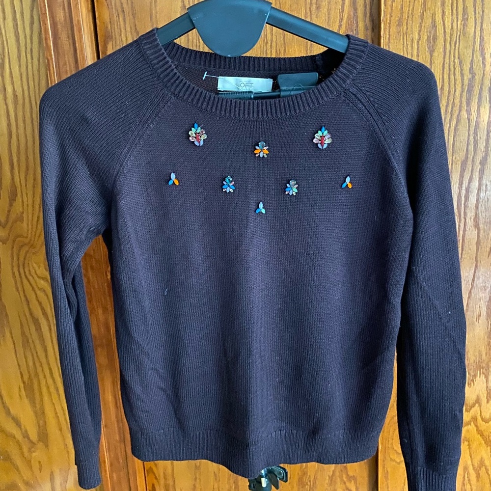 LOFT Dark Brown Sweater with Colorful Embroidery